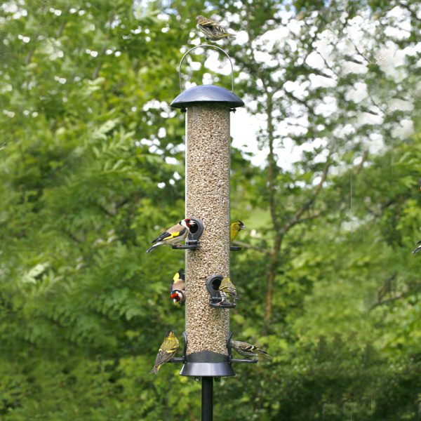 CJ Adventurer Seed Feeder**DISC