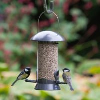 CJ Adventurer Seed Feeder