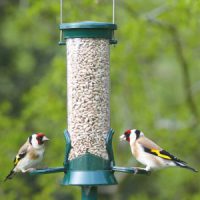 NT 2 Port Metal Seed Feeder