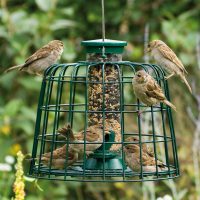 CJ Guardian Pack Seed Feeder 2 Port