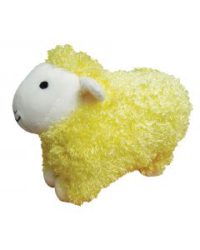 Curly Pet Sheep