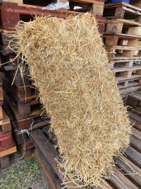 Straw Bale