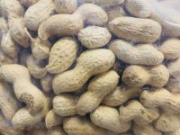 Monkey Nuts 1kg