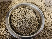 Sunflower Kernels Mini 3kg