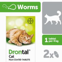 Drontal Cat