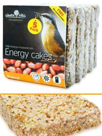 Winston Wilds Energy Cake Peanut 5 Pack