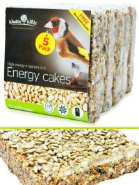 Winston Wilds Energy Cake Sunflower 5 Pack