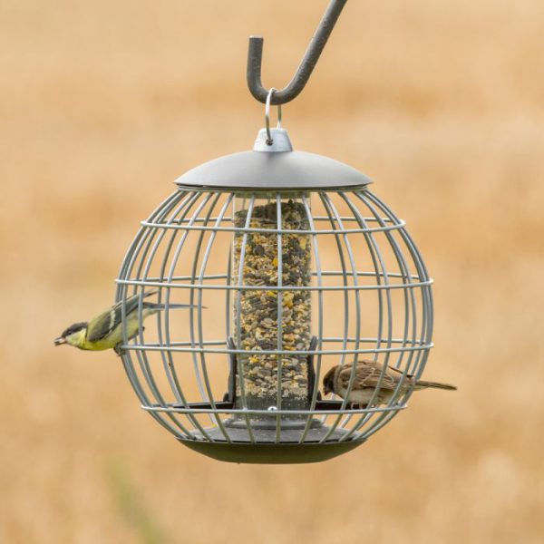 CJ Athena Seed Guardian Feeder (NT)