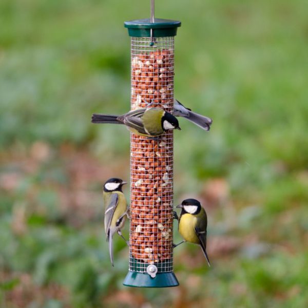 NT Peanut Feeder Defender