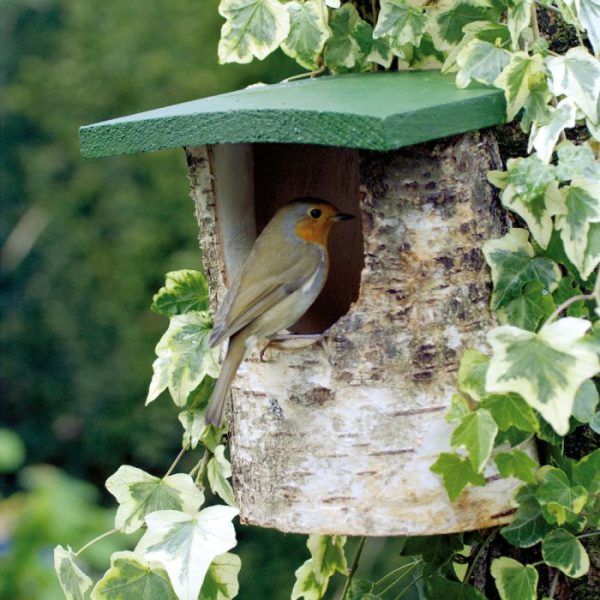 NT Birch Log Nest Box Open