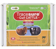 Tracesure Cu/I  X 20