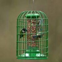 JJ Guardian Peanut Feeder