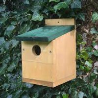 Nest Box Larch Robin Green Roof