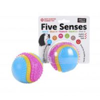 Five Senses Sensory Ball