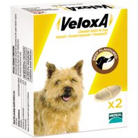 Veloxa Tablet