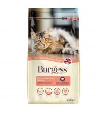 Burgess Cat Adult Scottish Salmon