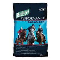 Baileys No.19 Performance Balancer